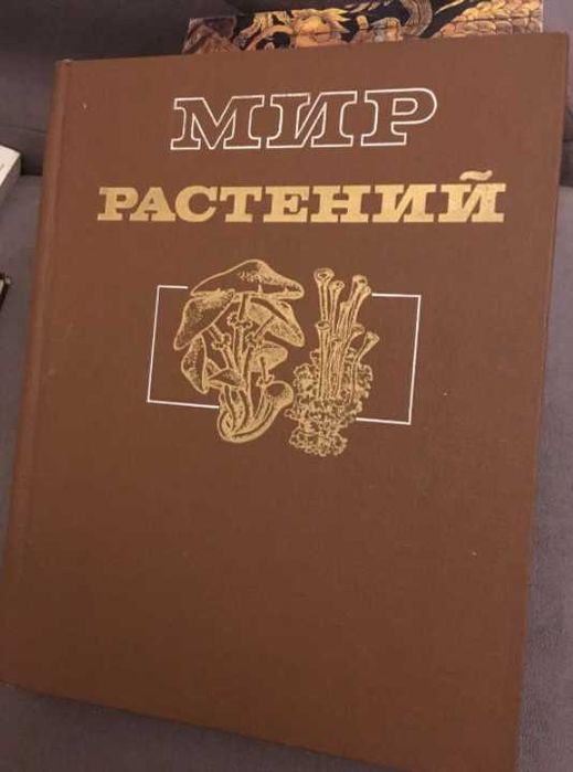 Мир растений : Грибы