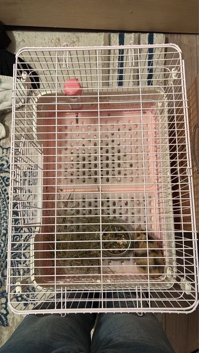 Клетка марской свинке