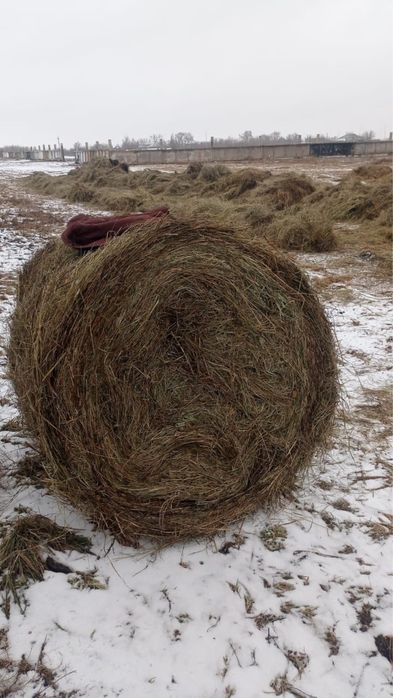 Продам рулоны сено