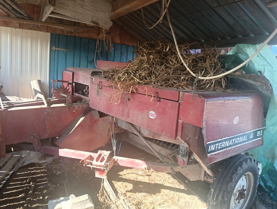 Baloreră internațional425