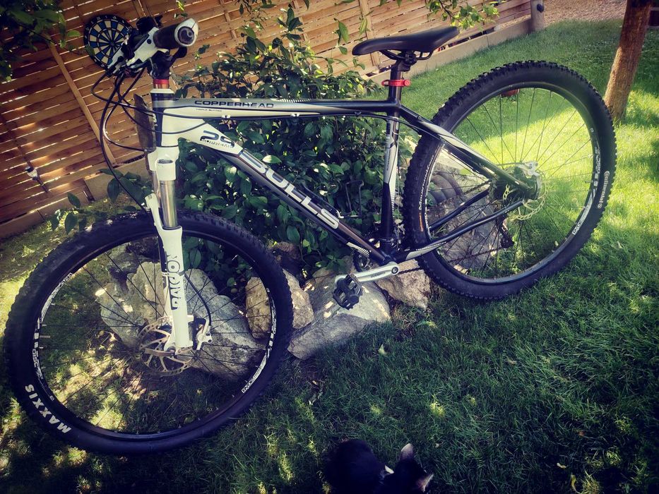 Bicicleta Bulls 29