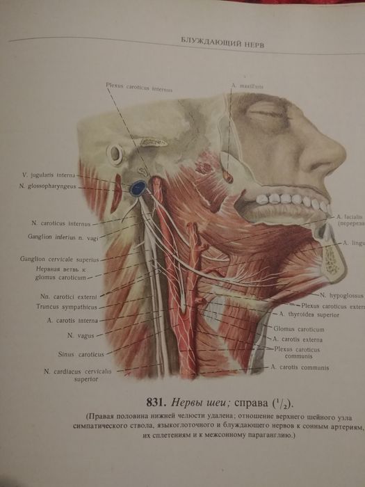 Атласи Анатомия Синелников 3 тома
