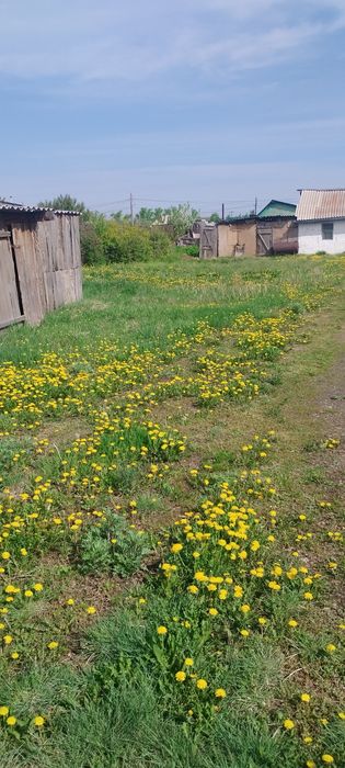 Продам дом с участком
