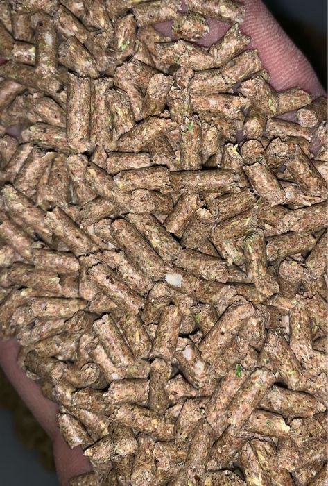 Түйіршіктелген құрама жем