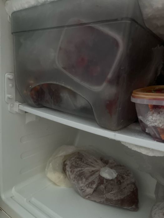 Холодильник рабочий