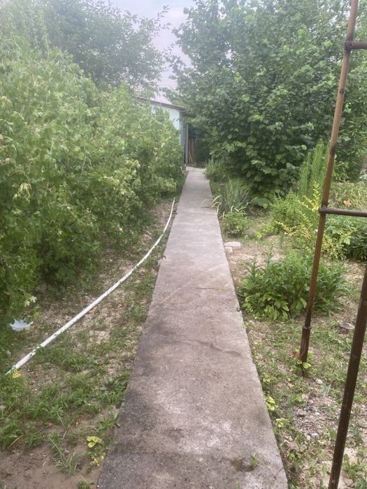 Продается дача. Новбахор