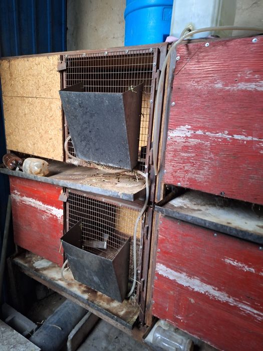 Клетки #клетки#,