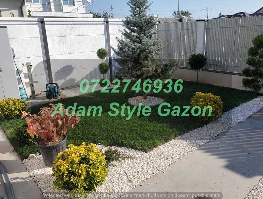 Gazon Natural Dens și Uniform