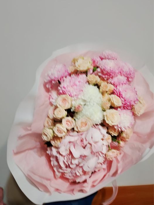 Домашниий Цветыы