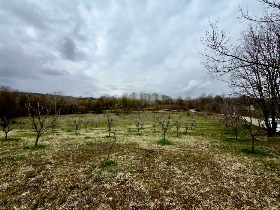 Teren / grădină de vânzare în Barbuletu, judetul Dambovita –  8055 mp