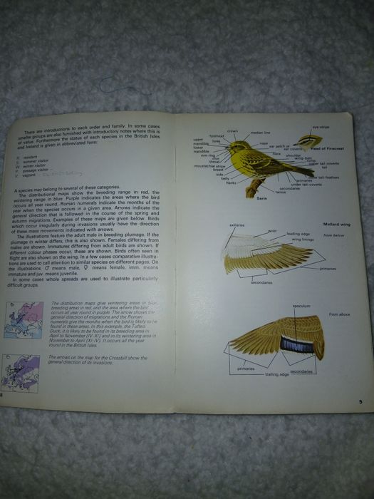 Уникален! Определител на птиците The Hamlyn Guide to Birds