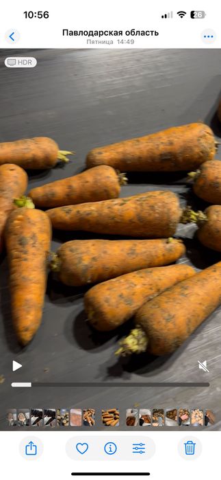 Продам морковь оптом