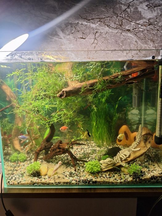 продам аквариум 62 литра