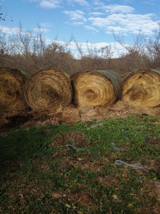 Продават се Бали