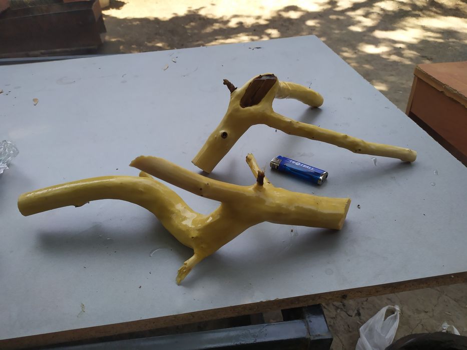 Коряги для аквариума / террариума.