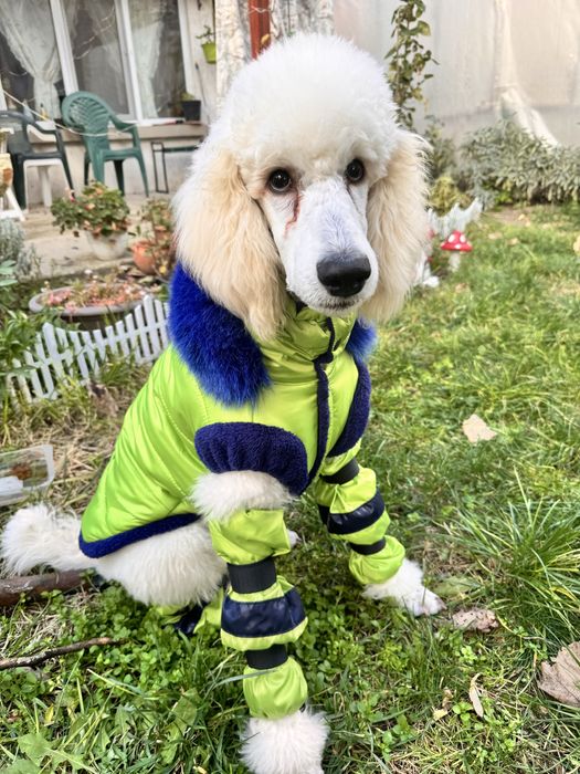 Топло яке за куче