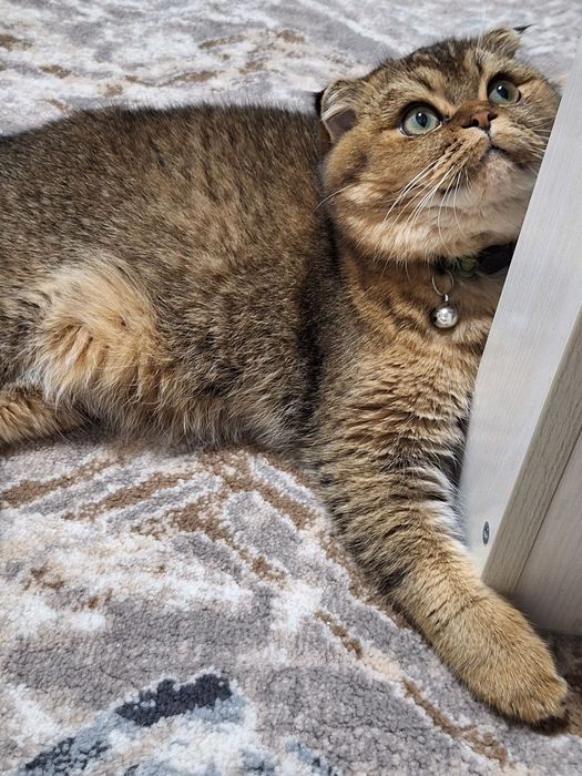 Vyazka qizlani uchrashuvga taklif qilamiza