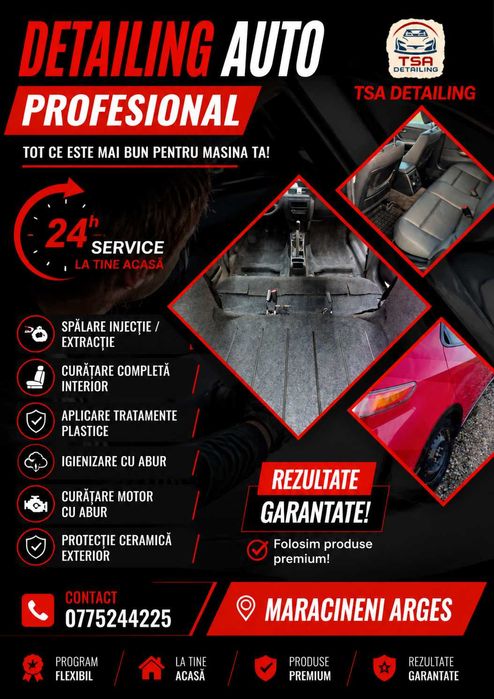 Detailng Auto Profesional