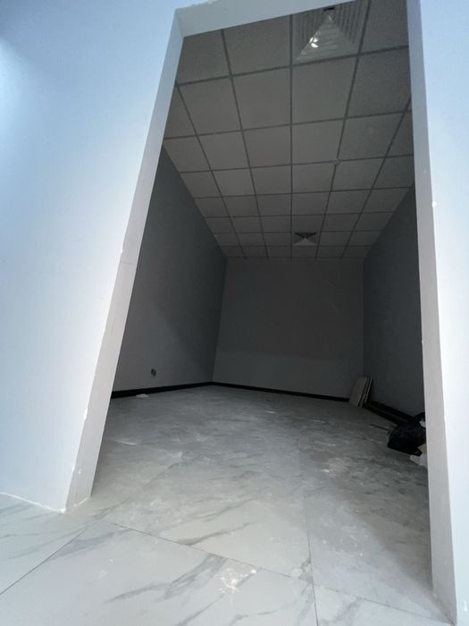 Офис около метро Пушкина 120 квм