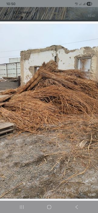 Қамыс тегін Қызылорда улица Гагарин