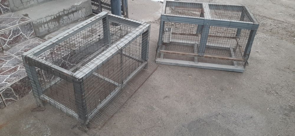 Брудера для перепёл, цыплят