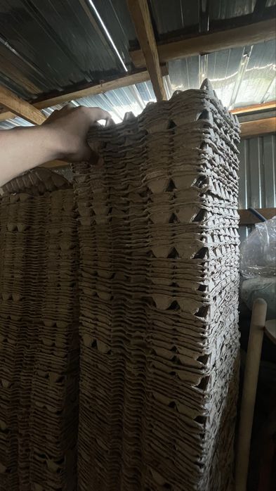 Лоток для яйц по 25 тг