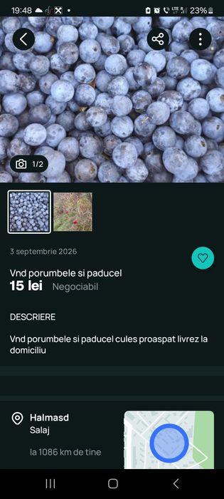 Vnd porumbele în calități mari mici livrez la adrese