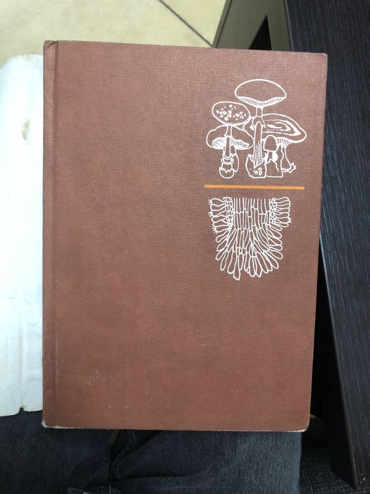 Determinator pentru recunoasterea ciupercilor