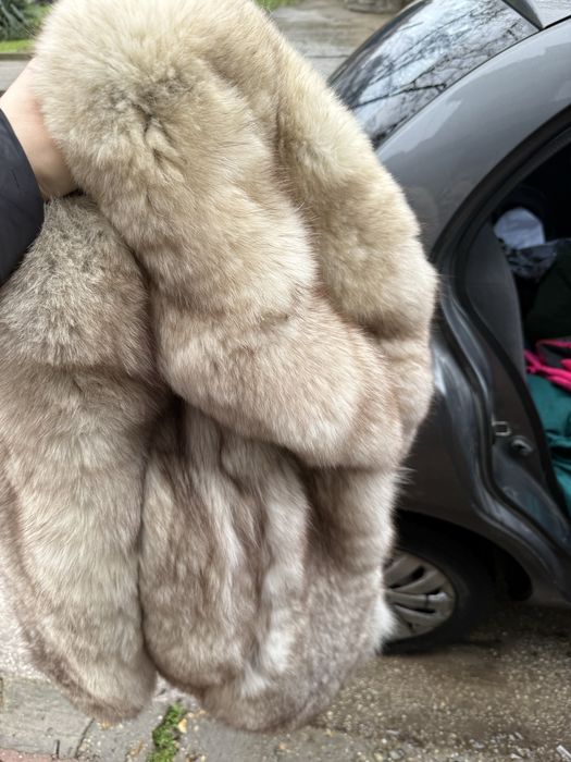 Страхотни предложения