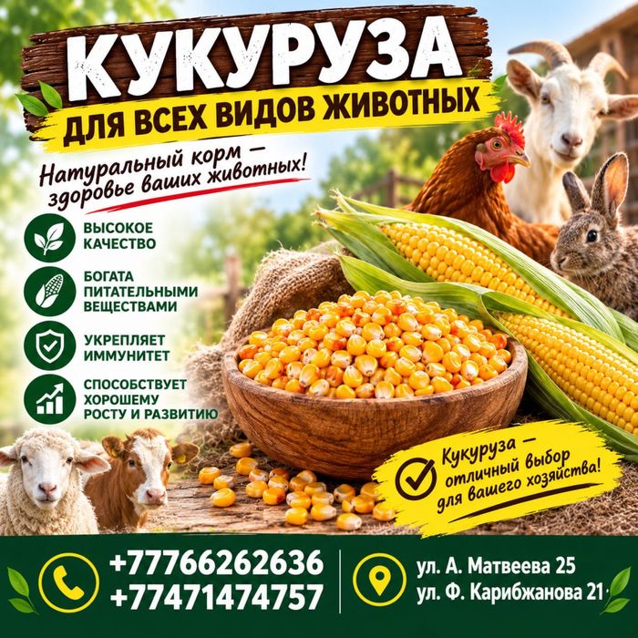 Кукуруза кормовая