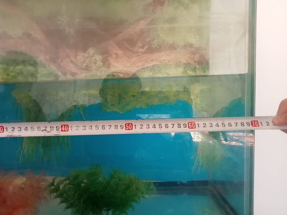 Аквариум Аквариум