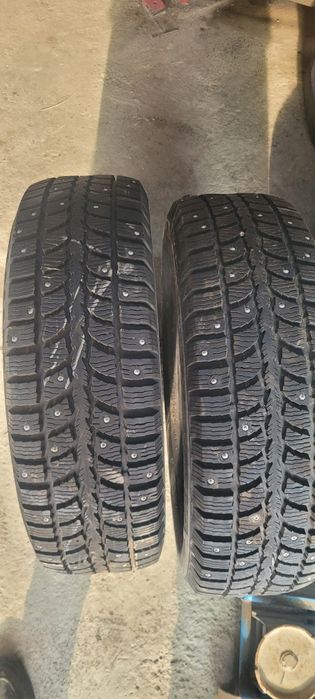 Зимние болон R15