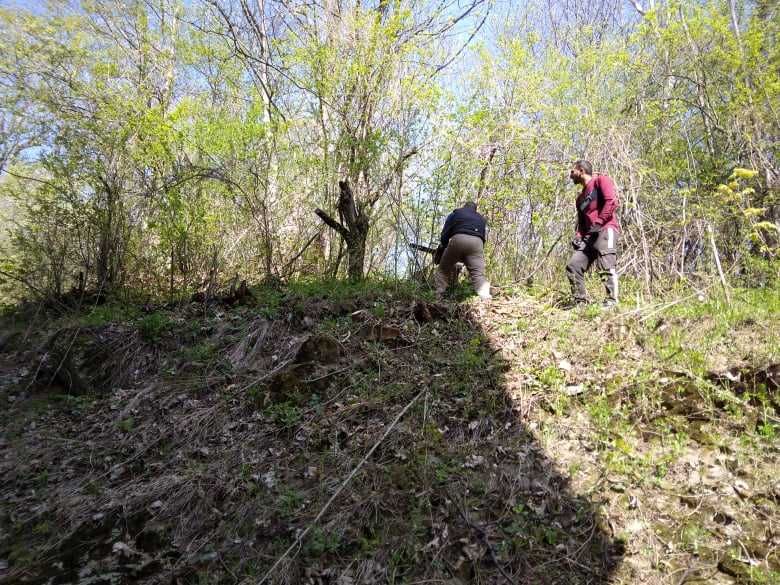 Рязане на опасни дървета и почистване на дворове