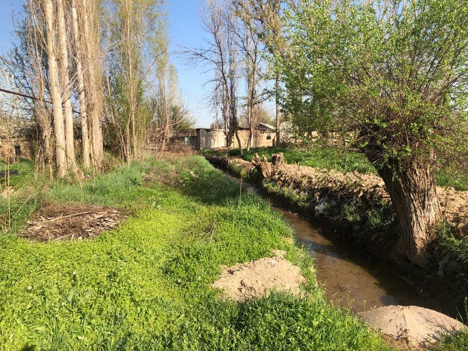 Yer sotiladi toytepada , dacha 25sotx