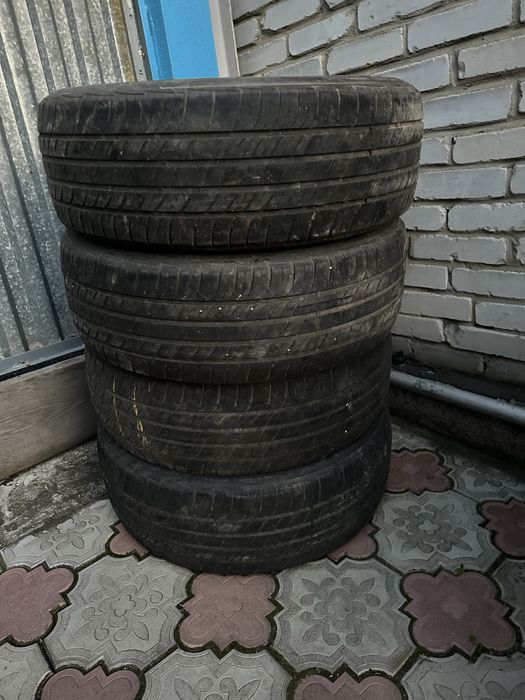 Пролам летнюю резинк