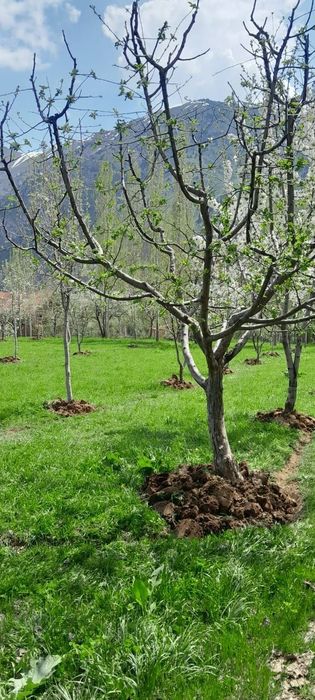 Участка сотилади