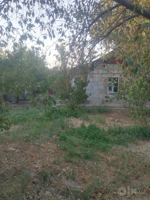 Chirchiq shahar Bustonliq tumani Tovoqsoy qurğoni