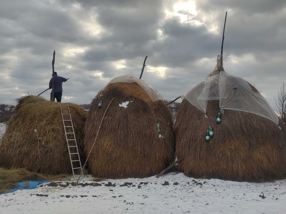 Vand 2 stoguri de fan