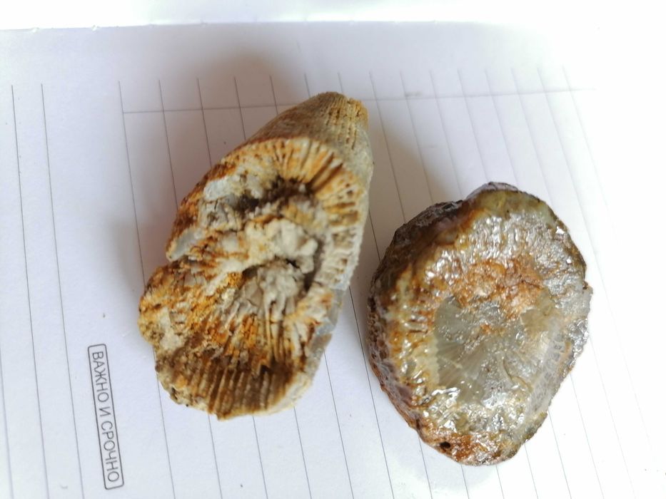 артефакты древней архиологии