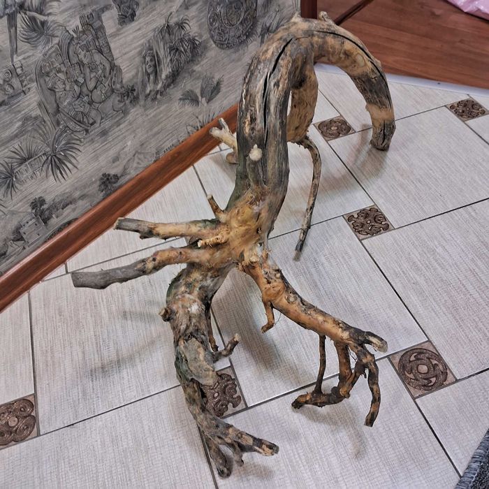Коряга в аквариум