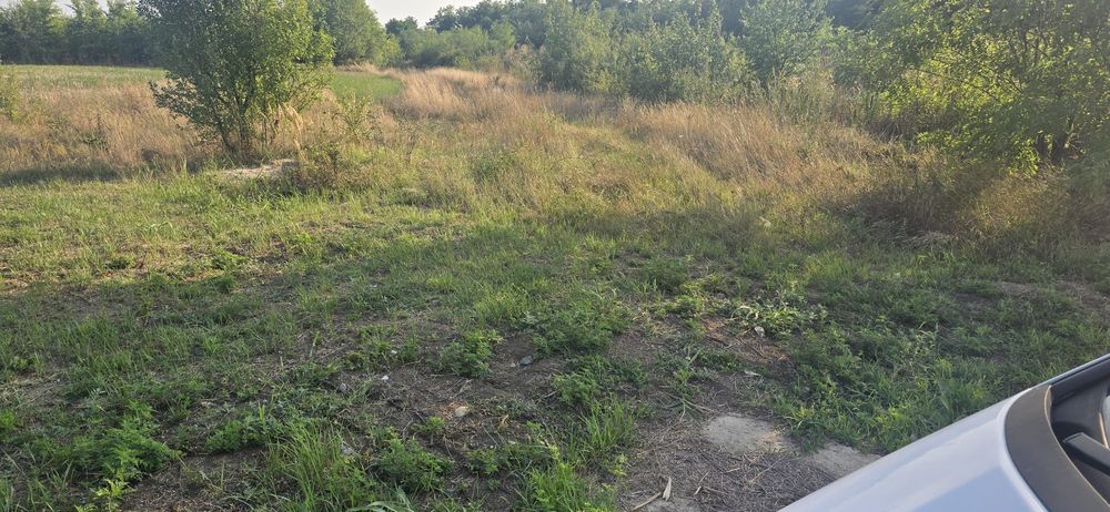 Teren 2500 mp prelungire str Viorelelor