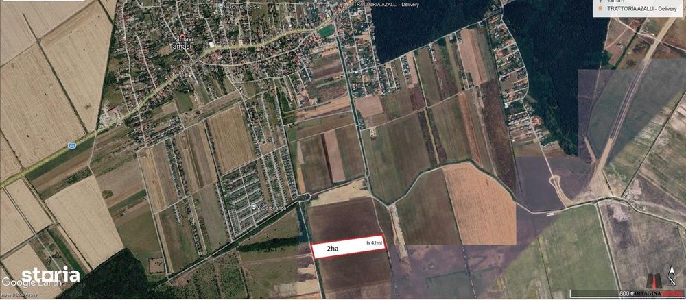 Teren investitie 20.000mp TamasiCorbeanca