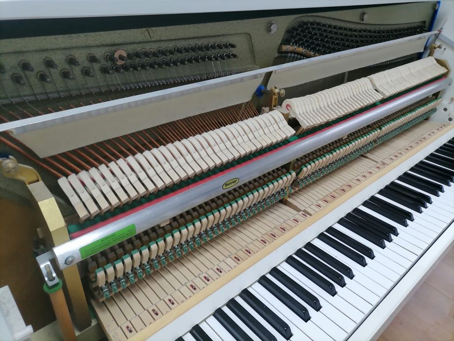 Piane & pianine, pe alb sau pe negru (transport gratuit, garanție)