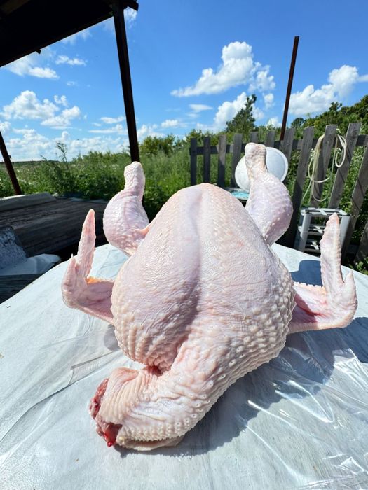 Мясо домашнего бройлера
