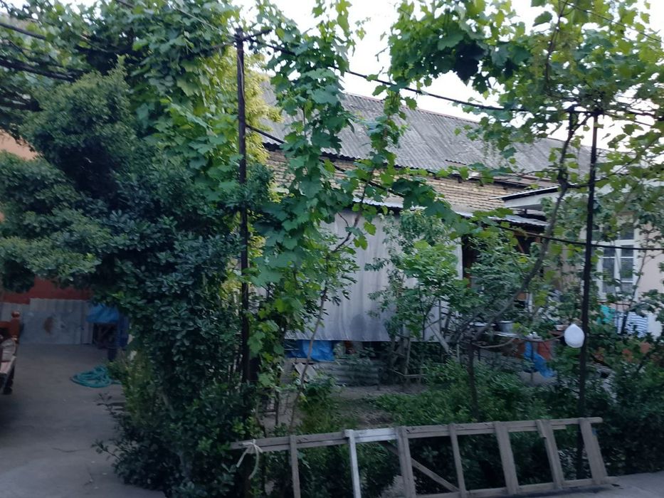 Shahrixonda hovlilik uy srochna sotiladi