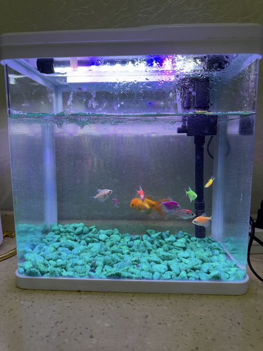 Aquarium аквариум 15litr