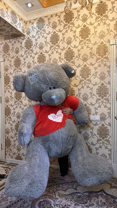 Katta teddy ayiq