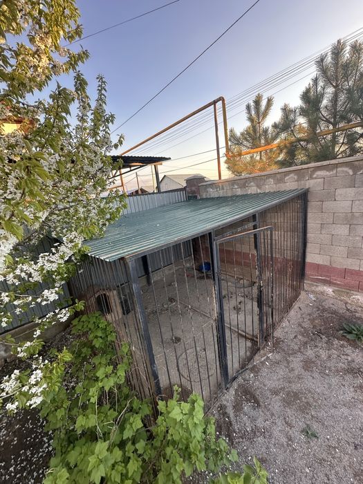 Вальер для домашних животных