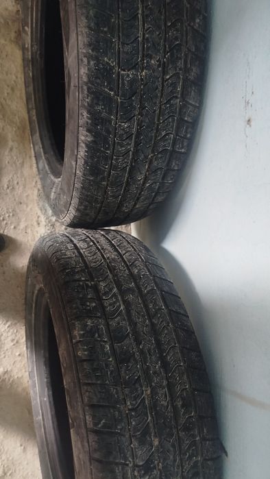 Балом сотилади холати зор