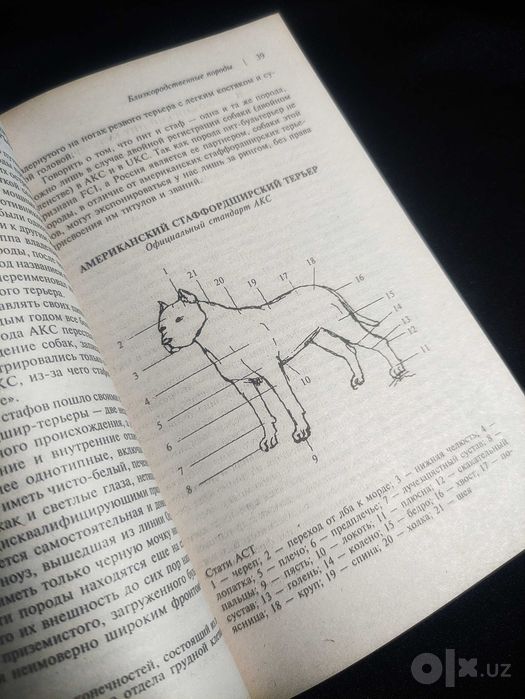 Книга. Американский Пит-Бультерьер.